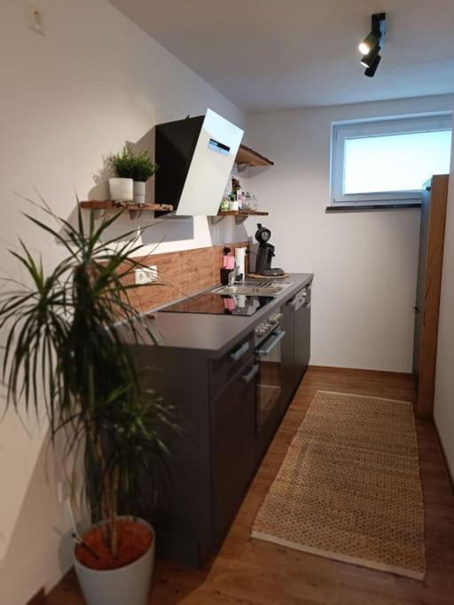 Altholzapartment In Kempten Waltenhofen Bagian luar foto